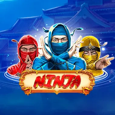 DU88 Ninja
